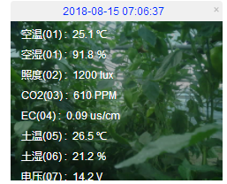 图片29.png