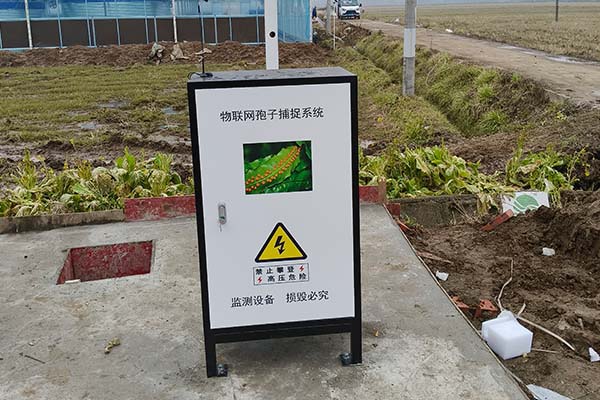農業高標準農田圖片6