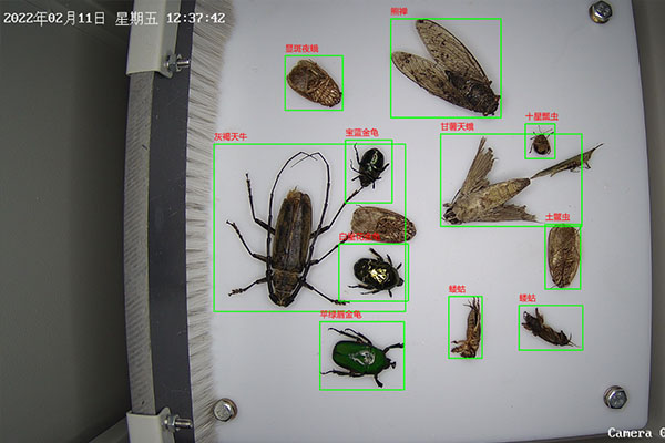 蟲情測報設備圖片2