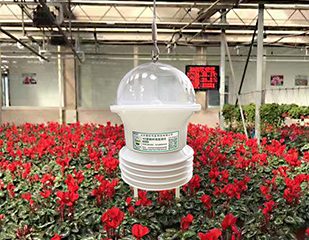 “智能花藍”4G環境數據監測儀